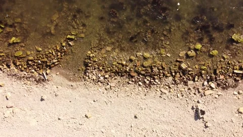 Deserted beach from a bird's eye view, stone sea beach Video stock 227470257