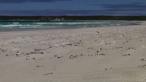 Deserted beach Stock Footage 974650