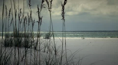 Deserted Beach Stock Footage 21239813