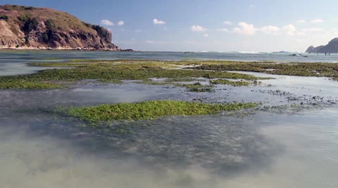 Deserted beach Stock Footage 27448051
