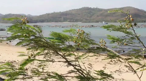 Deserted beach Stock Footage 27490006