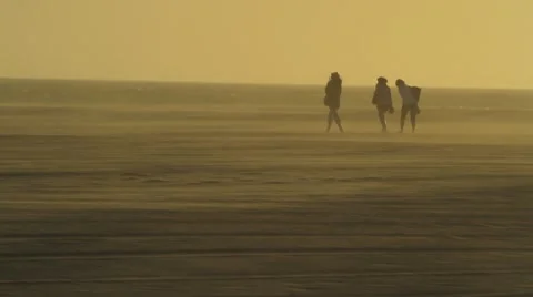 Deserted Beach Friends Stock-Footage 4995116