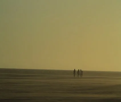 Deserted Beach Friends ws Stock-Footage 4997691