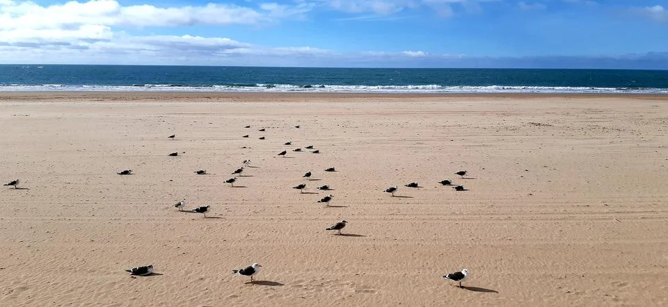 Deserted beach Stock Photos