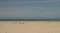 Deserted Beach with Sea in Background HD Footage