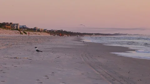 Deserted beach at sunrise Stock Footage 93212722