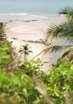 Deserted beach. View through palm leaves Stock Photos