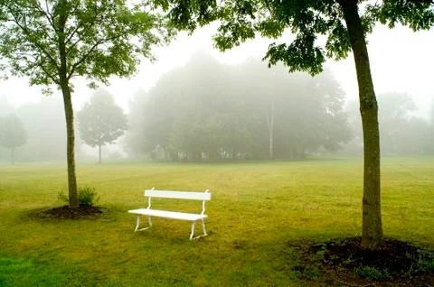 Deserted bench Stock Photos