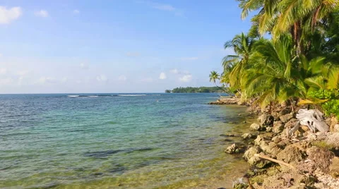 Deserted Boca del Drago beach on the archipelago Bocas del Toro, Panama Stock Footage 43340125