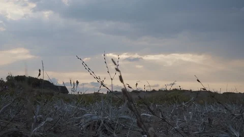 THE DESERTED IS COVERED WITH CLOUDS Video stock 110763226