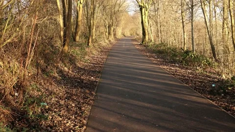 Deserted cycle path Stock Footage 169249684