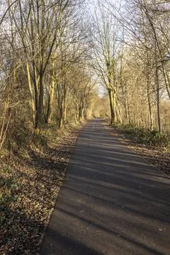 Deserted cycle path Stock Photos
