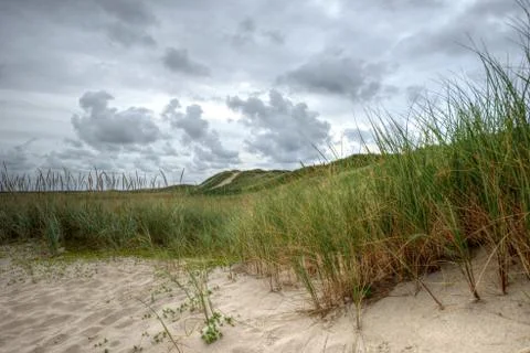 Deserted dunes Stock Photos
