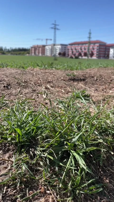 Deserted field with infrastructure and clear sky background scene Stock Footage 341671918