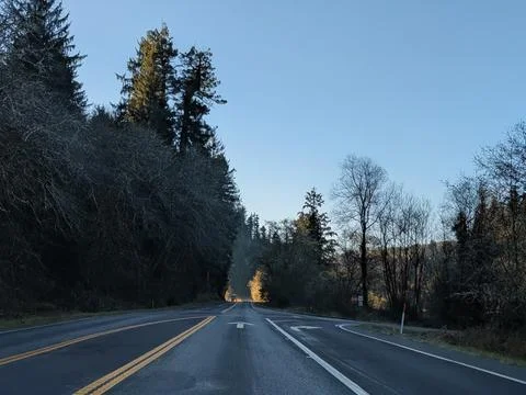 Deserted forest highway with single distant vehicle and exit leading 写真素材