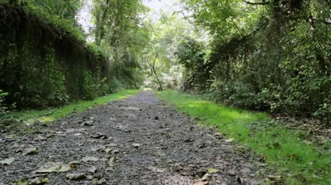 Deserted Gravel Path 스톡 동영상 12253614