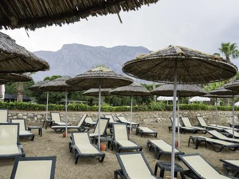 Deserted hotel in Turkey. Empty deck chairs on grass lawn under palm trees. A Stock Photos