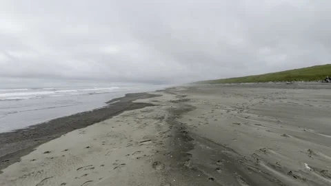 Deserted Oregon Coast Beach with Tidal Channels and Dunes Stock Footage 339378314