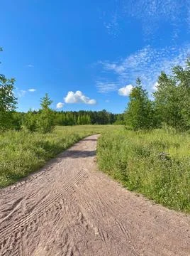 Deserted path in the summer forest, blue sky, green grass, trees Stock Photos