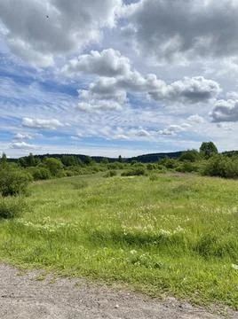 Deserted path in the summer forest, blue sky, green grass, trees Stock Photos