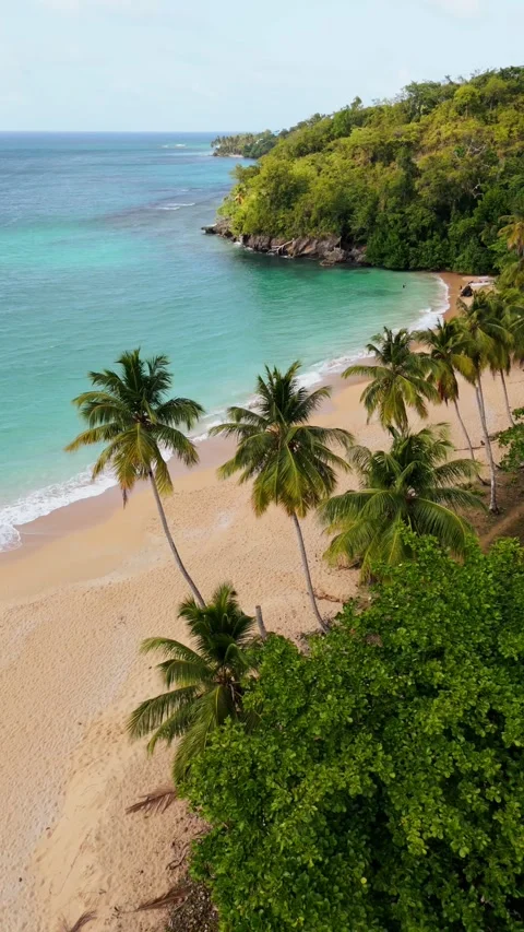 Deserted Playa Colorada beach in Samana, Dominican Republic. Aerial drone view Stock Footage 340567466