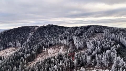 Deserted Red Cabin Enveloped By Icy Pine Trees With No Smoke Rising Visible From Stock Footage 342403404
