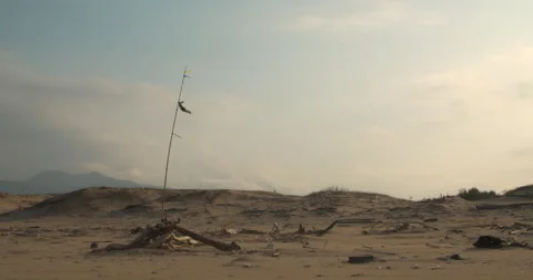 A deserted remote sandy wasteland with garbage lying around on the beach with le 動画素材 136024145