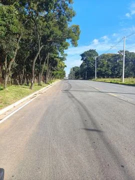 Deserted road with trees on the side Stock Photos
