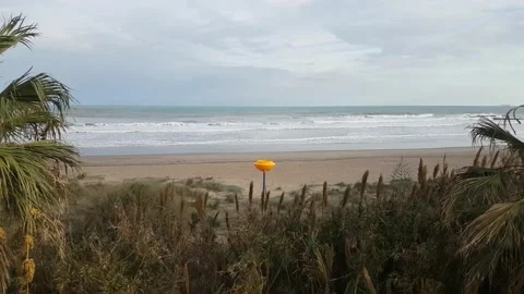 Deserted sandy beach Stock-Footage 170069278