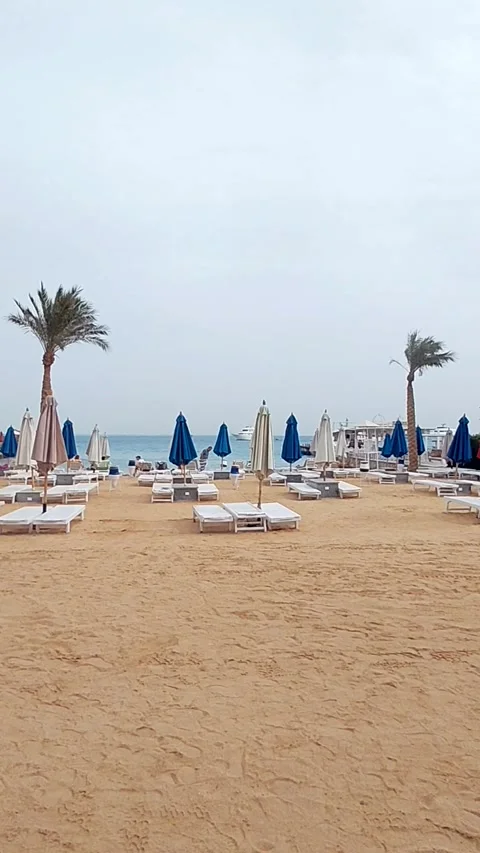 Deserted sandy beach Stock Footage 336175892