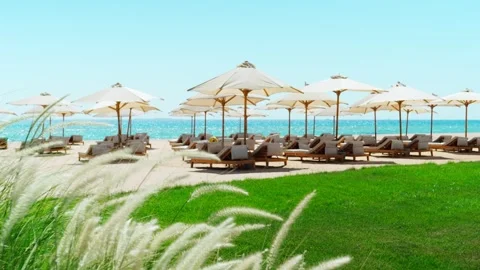A deserted sandy beach with umbrellas and sun beds by the sea. Видео 341915603