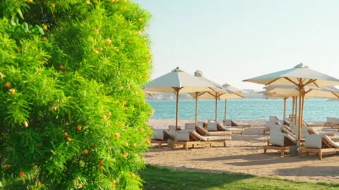 A deserted sandy beach with umbrellas and sun beds by the sea. 库存影片 341916247