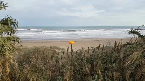 Deserted sandy beach in winter Stock-Footage 170069305