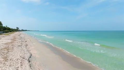 Deserted sandy beachfront with palm trees along coast of Atlantic ocean in Video stock 247823530