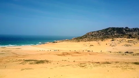 Deserted sandy ocean beach under clear blue sky Video stock 104170808