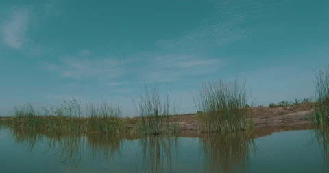 Deserted Shoreline of a River Stock Footage 161905456