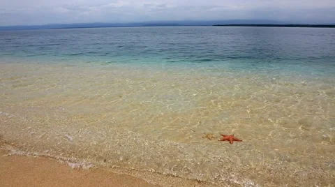 Deserted Starfish beach on the archipelago Bocas del Toro, Panama Stock Footage 40097546