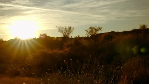 Deserted suburban area Stock Footage 179681482