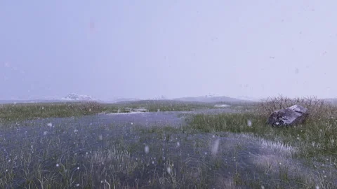 Deserted Taiga And Algae In The Snow Stock-Footage 288351014