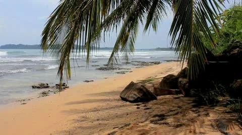 Deserted Tranquil Beach Stock Footage 9277610