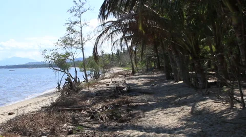 Deserted Tropical beach Stock Footage 49681498