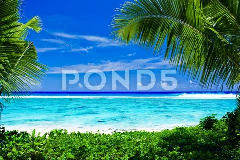 Deserted tropical beach framed by palm trees Stock Photos