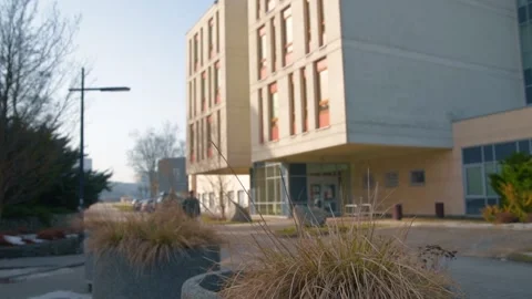 Deserted university campus without students and teachers in sunny day. Stock Footage 150902803
