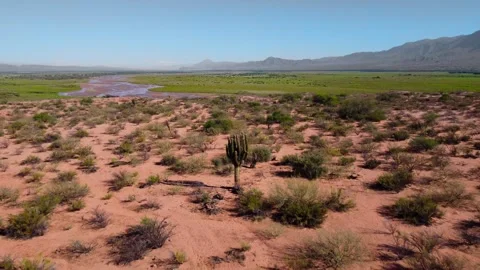 Desertic side of a river Video stock 245443200