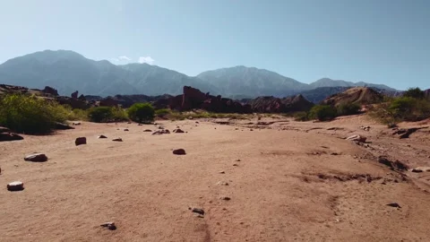 Desertic view Video stock 245446572