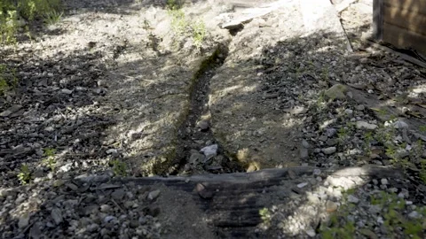 Desertification in Backyards in California Stock Footage 234392024