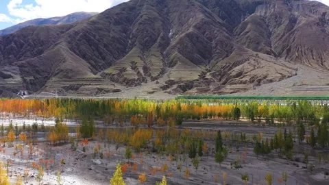Desertification control, ecological restoration, afforestation and afforestation Stock Footage 250630716