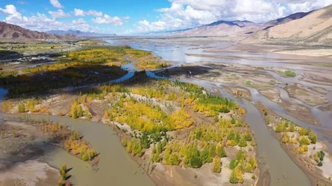 Desertification control, ecological restoration, Stock Footage 250631923