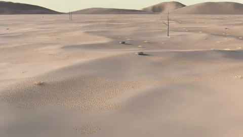 Desertification Stock Footage 146036501