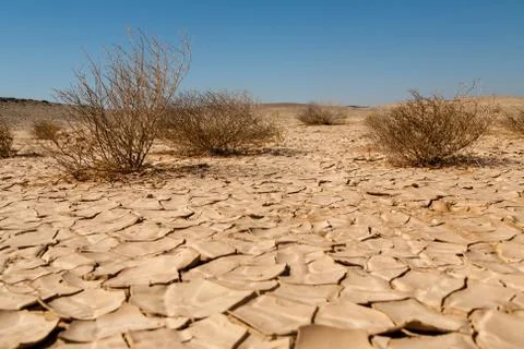 Desertification Stock Photos